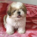 Imagen siguiente del producto